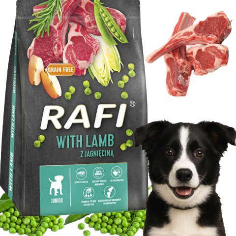 Sucha Karma Dla Psa RAFI JUNIOR z Jagnięciną 3 kg - 1 szt. RAFI