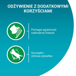 Purina One Indoor Formula Karma Dla Kota Z Tuńczykiem I Zieloną Fasolką 85g