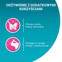 Purina One Junior Karma Dla Kociąt Z Łososiem I Marchewką 85g
