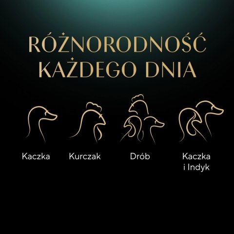 Sheba Selection Karma Dla Kota Drobiowe Smaki 120x85g