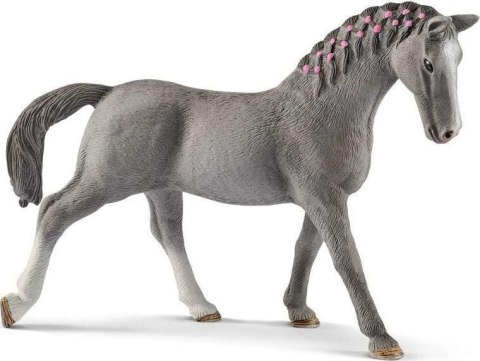 Schleich zestaw prezentowy figurka +akcesoria 2pak Horse Dino Wild Life Farm