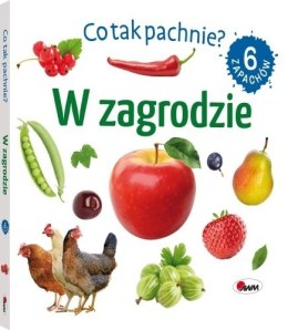 CO TAK PACHNIE W ZAGRODZIE