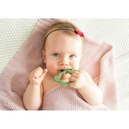 Gryzak jabłko GILIGUMS