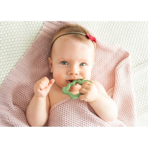 Gryzak jabłko GILIGUMS