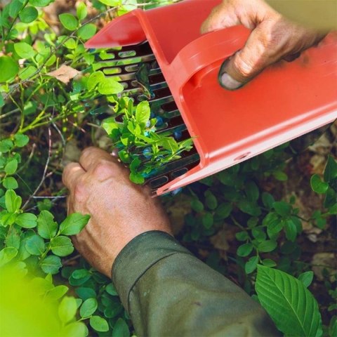 ZBIERACZKA GRZEBIEŃ DO JAGÓD BORÓWEK PORZECZEK