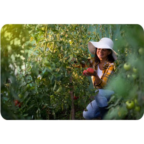 TUNEL OGRODOWY 2 X 3,5 M (7M2) PLONOS