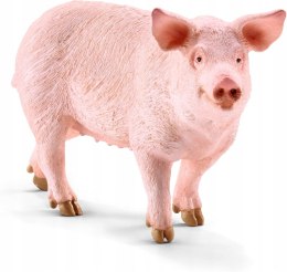 Schleich Farm World Pig Świnia Maciora 10cm