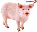 Schleich Farm World Pig Świnia Maciora 10cm