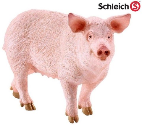 Schleich Farm World Pig Świnia Maciora 10cm