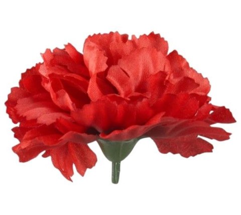Goździk satynowy czerwony czerwona główka goździka wyrobowa
