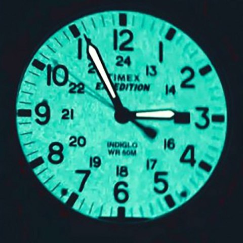 ZEGAREK MĘSKI TIMEX EXPEDITION TW4B12500 (ZT106G)