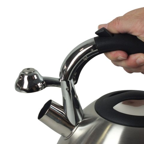 Czajnik, 3,0 l, srebrny