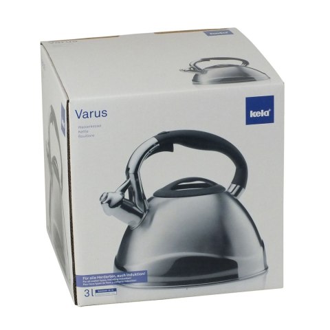 Czajnik, 3,0 l, srebrny