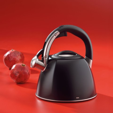 Czajnik, stal nierdzewna 18/10, śred. 22 x 21,5 cm, 2,4 l, czarny matowy