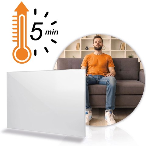 Grzejnik na podczerwień promiennik podczerwieni 800 W Berdsen BD-986