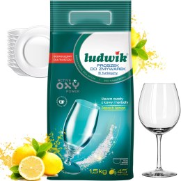 Ludwik 5-funkcyjny Proszek Do Zmywarek Worek 1,5kg LUDWIK