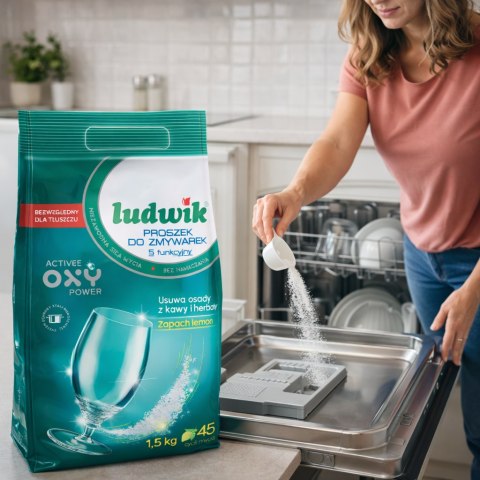 Ludwik 5-funkcyjny Proszek Do Zmywarek Worek 1,5kg LUDWIK