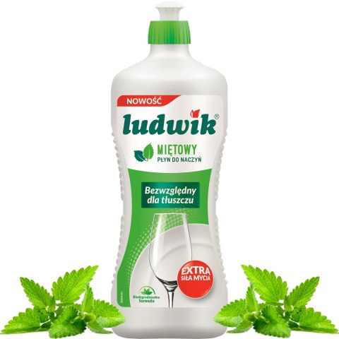 Ludwik Płyn Do Naczyń Miętowy Butelka 900g LUDWIK