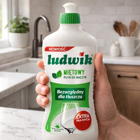 Ludwik Płyn Do Naczyń Miętowy Butelka 900g LUDWIK