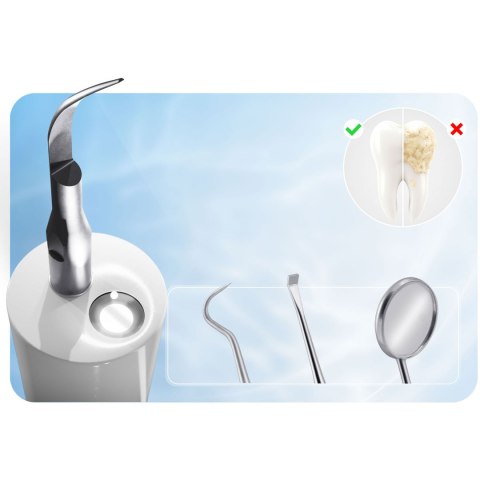 Skaler ultradźwiękowy do zębów 4 tryby do usuwania kamienia LED Berdsen BD-251