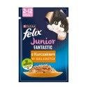 Felix Junior Kurczak W Galaretce 85g