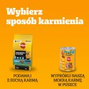 Pedigree Mokra Karma Dla Dorosłych Psów Saszetka Mix Smaków (Z Kurczakiem I Warzywami, Z Wołowiną I Warzywami, Z Indykiem I Marc