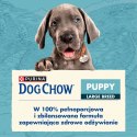 Purina Dog Chow Large Breed Puppy Z Indykiem 14kg