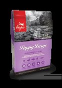 Orijen Dog Puppy Large 6kg