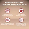 PURINA ONE Mini Delicate Łosoś, ryż - sucha karma dla psa - 800 g
