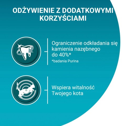Purina One Cat Adult Karma Z Wołowiną Dla Kota 800g