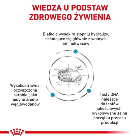 ROYAL CANIN Anallergenic 8kg