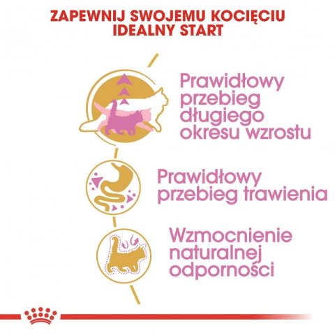 ROYAL CANIN Maine Coon Kitten 2kg