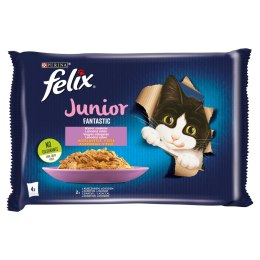 Felix Fantastic Junior W Galaretce Z Kurczakiem I Łososiem 4x85g
