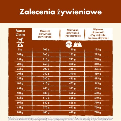 PURINA Dog Chow Mature Senior Lamb 14kg