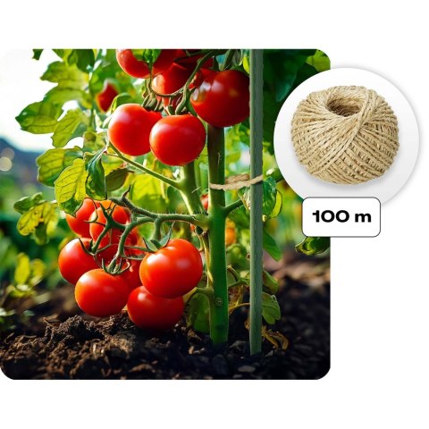 Tunel ogrodowy szklarnia ogrodowa 3 x 2 m (6m2) Plonos