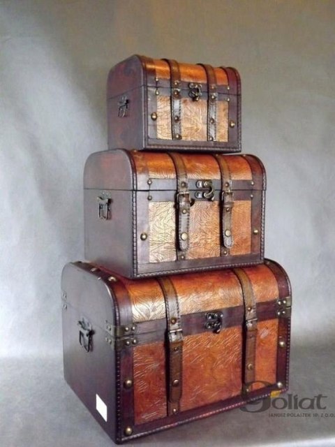 Kufer rudy [C5-0584/A]