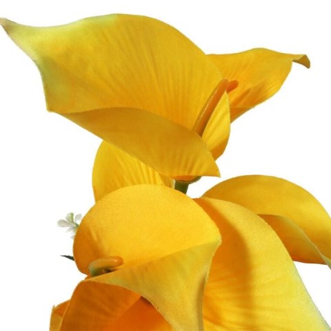 Bukiet 7 CALLI z bukszpanem 37 cm ŻÓŁTY