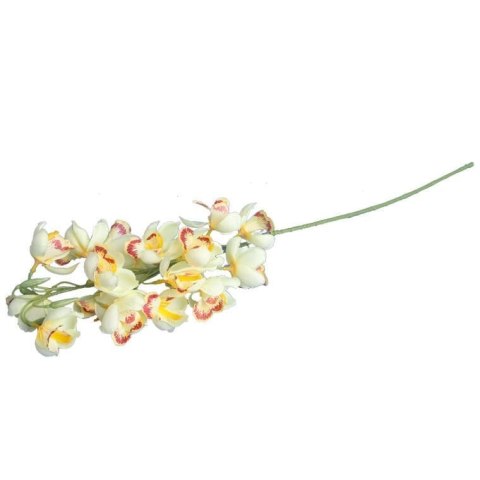 Gałązka storczyka dzwonkowatego w kolorze zielono różowym 84 cm