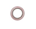 TAŚMA OSTRZEGAWCZA SClEY 48MM x 33M SERIA 912