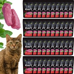 RAFI Karma Mokra Pasztet Dla Kota z Cielęciną 100g x 40 szt. RAFI
