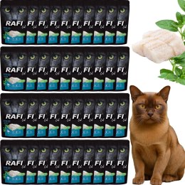 RAFI Karma Mokra Pasztet Dla Kota z Dorszem 100g x 40 szt. RAFI