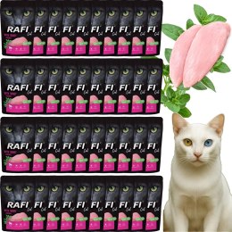RAFI Karma Mokra Pasztet Dla Kota z Indykiem 100g x 40 szt. RAFI