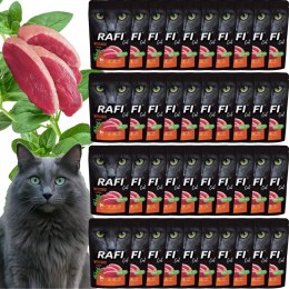 RAFI Karma Mokra Pasztet Dla Kota z Kaczką 100g x 40 szt. RAFI