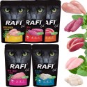 Zestaw RAFI Karma Mokra Pasztet Dla Kotów MIX Smaków 100g x 50 szt. RAFI